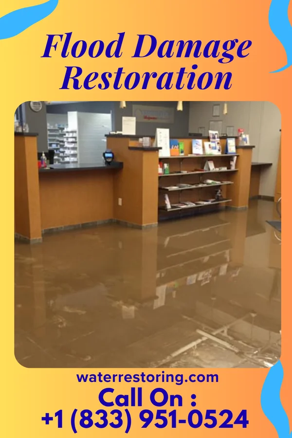Flood Damage Restoration in Chickamaw Beach, MN