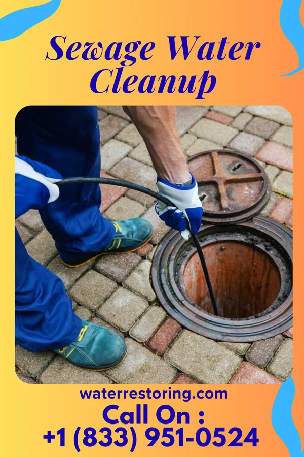 Sewage Water Cleanup in Chickamaw Beach, MN