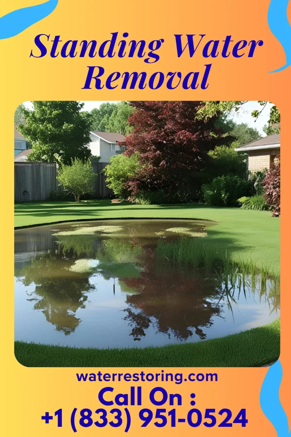 Standing Water Removal in Chickamaw Beach, MN